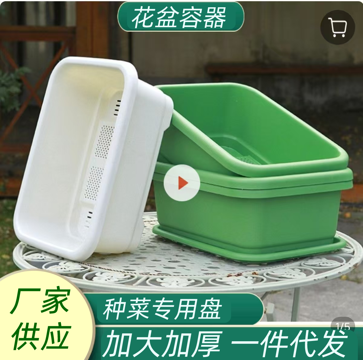 Indoor Vegetable Growing Pot